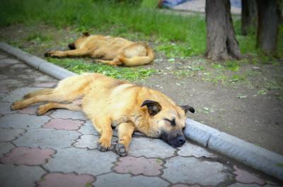 Прикрепленное изображение: XnOQIdS_CrY.jpg